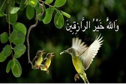 چگونه رزق و روزی با برکت و زیاد داشته باشیم؟
