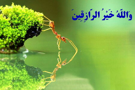 آیات محرمانه قرآن برای گشایش رزق و روزی
