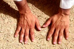 تیمم چگونه است و بر چه چیزهایی صحیح است؟