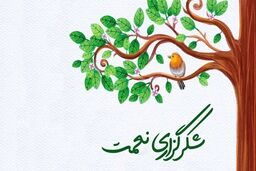 نعمت را به دست آوردیم؛ اما چگونه آن را از دست ندهیم؟