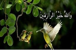 روزیِ بی‌منت خدا؛ چرا رزق الهی با هیچ بخششی قابل مقایسه نیست؟