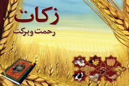 چرا اسلام بر زکات این‌قدر تأکید کرده است؟