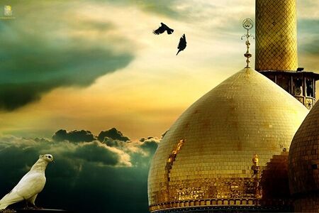 چرا امام جواد علیه السلام با دختر مأمون ازدواج کرد؟